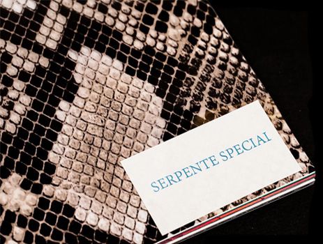 Serpente special